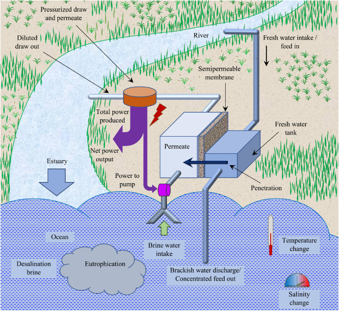 Japan Opens Revolutionary Osmotic Power Plant Changing The Future of Renewable Energy