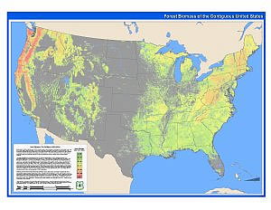 USDA Sparks National Forest Energy Revolution To Transform Acre Efficiency